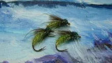 Video thumb for Deer Creek Caddis Pupa