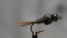 Video thumb for Stiff Side Soft Side Pheasant Tail