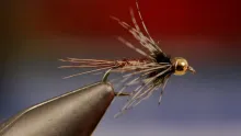 Video thumb for Bead Head Soft Hackle Pheasant Tail 