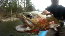 Video thumb for Spring Fishing Highlights 