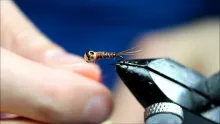 Video thumb for Pheasant tail jig nymph