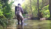 Video thumb for Fishing a small stream - part two