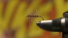 Video thumb for Elk Hair Caddis