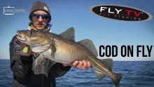 Video thumb for Cod on the Fly