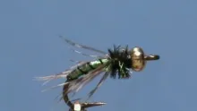 Video thumb for Graphic Caddis