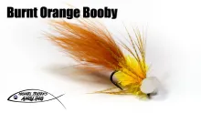 Video thumb for Burnt Orange Booby Fly