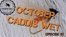 Video thumb for October Caddis Wet Fly