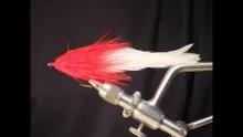 Video thumb for Red and White Pike Fly