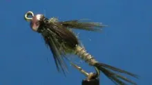 Video thumb for Olive Biot Nymph