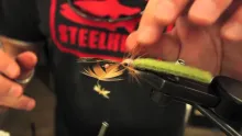 Video thumb for Snapping Craw