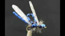 Video thumb for Double "D" (Mating Damsel)