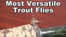 Video thumb for Top 3 Trout Flies!