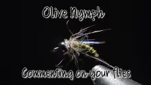 Video thumb for BWO Nymph