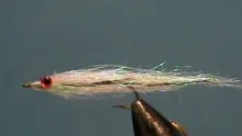 Video thumb for GSS Minnow