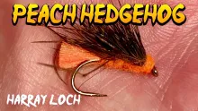 Video thumb for Peach Hedgehog