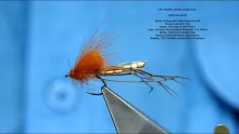 Video thumb for CDC Bubble Daddy Long Legs