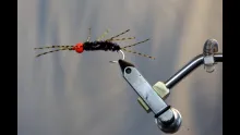 Video thumb for Agent Orange Stonefly