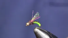 Video thumb for Green Wired Caddis