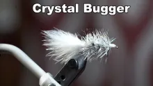 Video thumb for Crystal Bugger