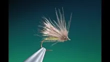 Video thumb for Skating caddis