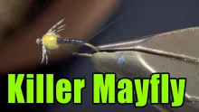 Video thumb for Killer Mayfly