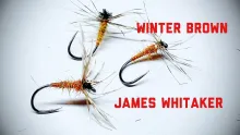 Video thumb for Winter Brown - Reverse Hackle - Sakasa