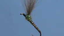 Video thumb for Olive Quill Shuttlecock