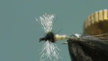 Video thumb for Tying Trico Spinners