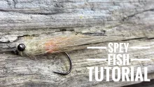 Video thumb for Spey Fish