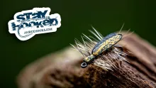 Video thumb for Adult Yellow Sally Stonefly