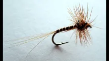 Video thumb for BM Dry Fly