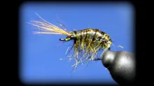 Video thumb for Olive Scud Nymph