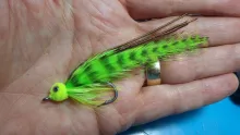 Video thumb for Chartreuse Baitfish Fly