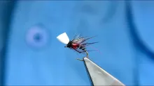 Video thumb for Bibio Cripple Midge Suspender