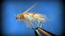 Video thumb for TC's Caddis Pupa