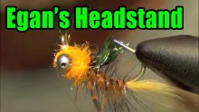 Video thumb for Egan's Headstand Carp Fly