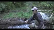 Video thumb for Salmon Fishing in Wisconsin 