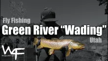 Video thumb for Green River "Wading"