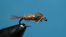 Video thumb for Icy Pheasant Tail