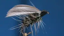 Video thumb for Griffith's Gnat Wet Fly