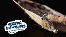 Video thumb for Tan Spey Shrimp