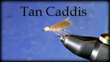 Video thumb for Tan Caddis Dry Fly