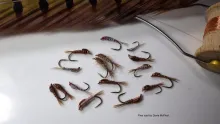 Video thumb for Three Killer Nymphs