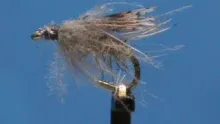 Video thumb for Stillborn Caddis