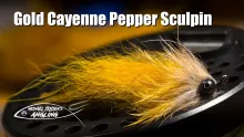 Video thumb for Gold Cayenne Pepper Sculpin