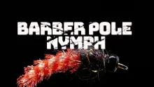 Video thumb for Barber Pole Nymph