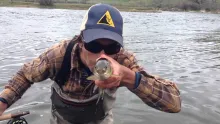 Video thumb for Spring Time Fishing on the Big Horn River in Fort Smith, Montana