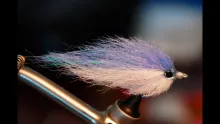 Video thumb for EP style baitfish fly