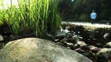 Video thumb for Fly Fishing the Ozarks -- Spring 2012