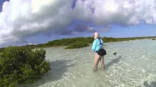 Video thumb for DIY Fly Fishing in Bahamas 2014